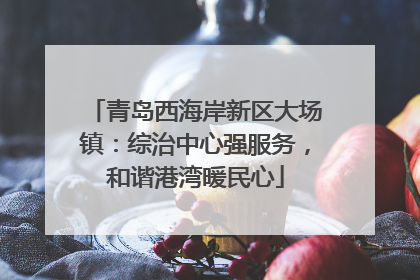 青岛西海岸新区大场镇：综治中心强服务，和谐港湾暖民心