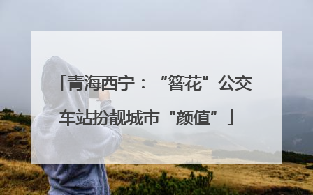 青海西宁：“簪花”公交车站扮靓城市“颜值”