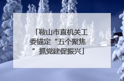 鞍山市直机关工委锚定“五个聚焦”抓党建促振兴