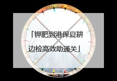 钾肥到港保夏耕 边检高效助通关