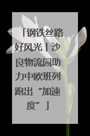 钢铁丝路好风光丨沙良物流园助力中欧班列跑出“加速度”