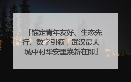 锚定青年友好、生态先行、数字引领，武汉最大城中村华安里焕新在即