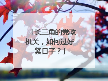 长三角的党政机关，如何过好紧日子？