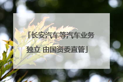 长安汽车等汽车业务独立 由国资委直管