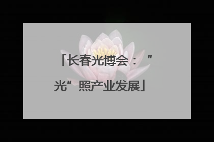 长春光博会：“光”照产业发展