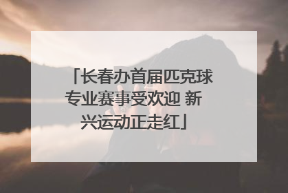 长春办首届匹克球专业赛事受欢迎 新兴运动正走红