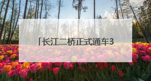 长江二桥正式通车30周年，实现了斜拉桥建设技术的自主化