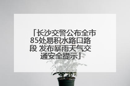 长沙交警公布全市85处易积水路口路段 发布暴雨天气交通安全提示