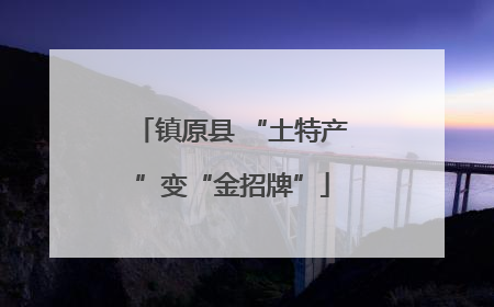 镇原县 “土特产”变“金招牌”