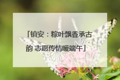 镇安：粽叶飘香承古韵 志愿传情暖端午