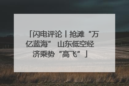 闪电评论丨抢滩“万亿蓝海” 山东低空经济乘势“高飞”