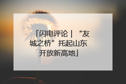 闪电评论｜“友城之桥”托起山东开放新高地