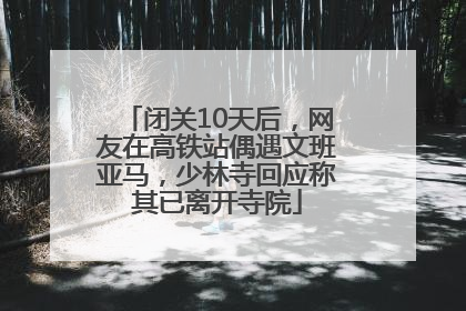 闭关10天后，网友在高铁站偶遇文班亚马，少林寺回应称其已离开寺院