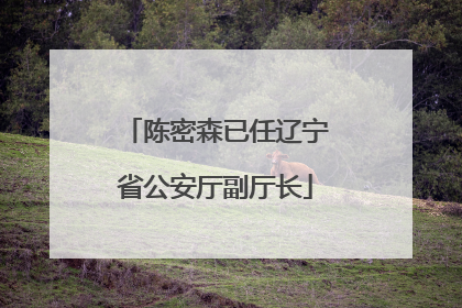 陈密森已任辽宁省公安厅副厅长