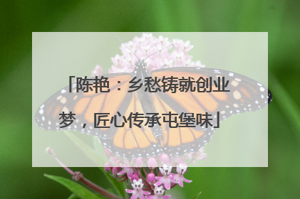 陈艳：乡愁铸就创业梦，匠心传承屯堡味