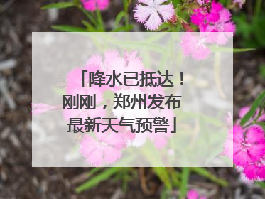 降水已抵达！刚刚，郑州发布最新天气预警