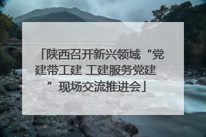 陕西召开新兴领域“党建带工建 工建服务党建”现场交流推进会