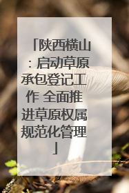 陕西横山：启动草原承包登记工作 全面推进草原权属规范化管理
