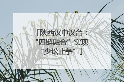 陕西汉中汉台：“四链融合”实现“少讼止争”