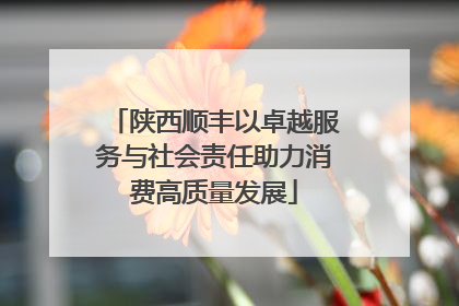 陕西顺丰以卓越服务与社会责任助力消费高质量发展