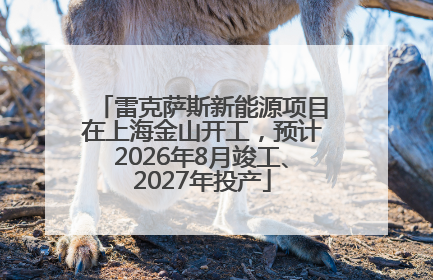 雷克萨斯新能源项目在上海金山开工，预计2026年8月竣工、2027年投产
