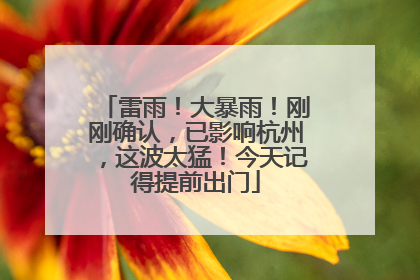 雷雨！大暴雨！刚刚确认，已影响杭州，这波太猛！今天记得提前出门