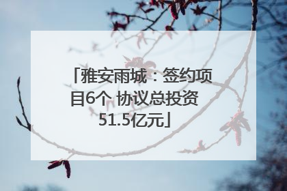雅安雨城：签约项目6个 协议总投资51.5亿元