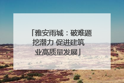 雅安雨城：破难题 挖潜力 促进建筑业高质量发展