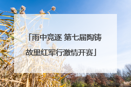 雨中竞逐 第七届陶铸故里红军行激情开赛
