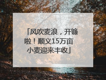 风吹麦浪，开镰啦！顺义15万亩小麦迎来丰收