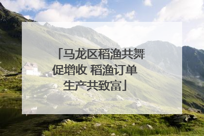 马龙区稻渔共舞促增收 稻渔订单生产共致富