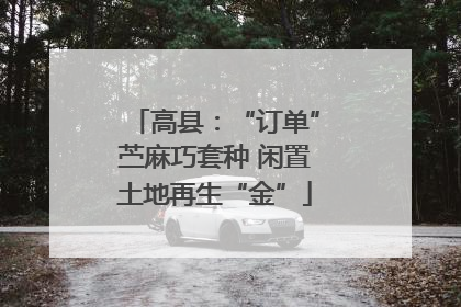 高县：“订单”苎麻巧套种 闲置土地再生“金”
