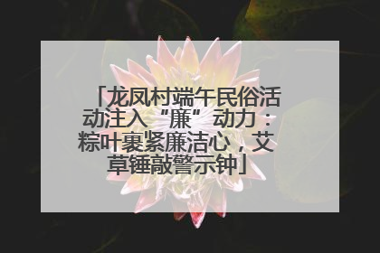龙凤村端午民俗活动注入“廉”动力：粽叶裹紧廉洁心，艾草锤敲警示钟