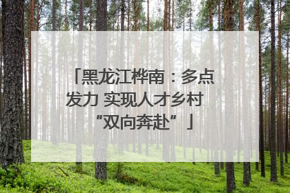 黑龙江桦南：多点发力 实现人才乡村“双向奔赴”