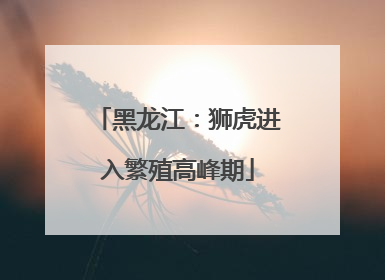 黑龙江：狮虎进入繁殖高峰期