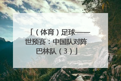 （体育）足球——世预赛：中国队对阵巴林队（3）