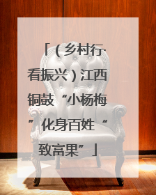 （乡村行·看振兴）江西铜鼓“小杨梅”化身百姓“致富果”