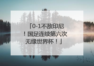 0-1不敌印尼！国足连续第六次无缘世界杯！