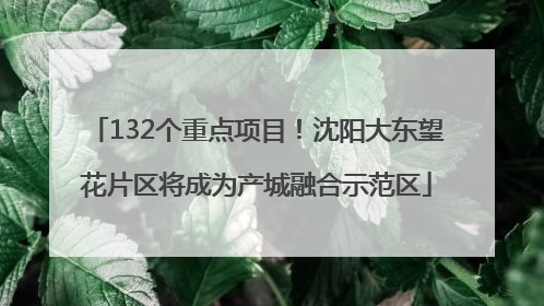 132个重点项目！沈阳大东望花片区将成为产城融合示范区
