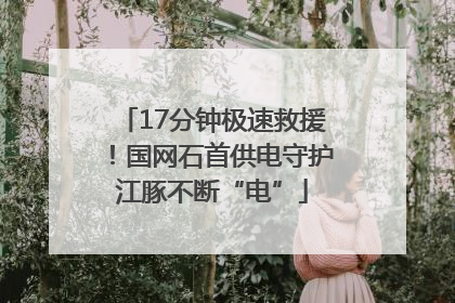 17分钟极速救援！国网石首供电守护江豚不断“电”
