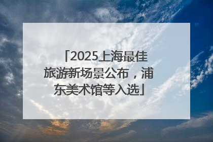 2025上海最佳旅游新场景公布，浦东美术馆等入选