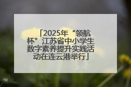 2025年“领航杯”江苏省中小学生数字素养提升实践活动在连云港举行