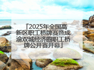 2025年全国高新区职工桥牌赛暨成渝双城经济圈职工桥牌公开赛开幕