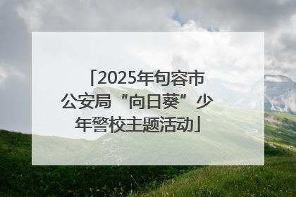 2025年句容市公安局“向日葵”少年警校主题活动