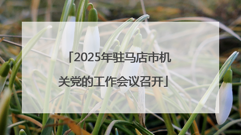 2025年驻马店市机关党的工作会议召开
