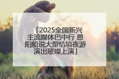 2025全国新兴主流媒体巴中行 恩阳船说大型情境夜游演出璀璨上演