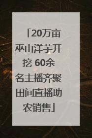 20万亩巫山洋芋开挖 60余名主播齐聚田间直播助农销售