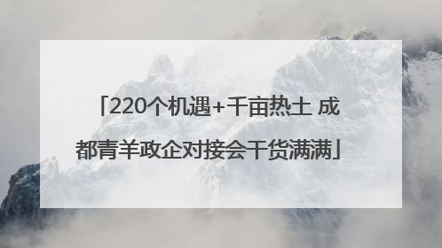 220个机遇+千亩热土 成都青羊政企对接会干货满满