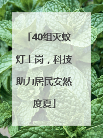 40组灭蚊灯上岗，科技助力居民安然度夏