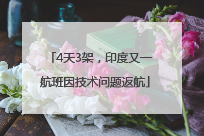 4天3架，印度又一航班因技术问题返航